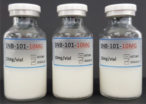 에스엔바이오사이언스, 나노항암제 ‘SNB-101’ 췌장암 대상 미국 FDA 희귀의약품 지정