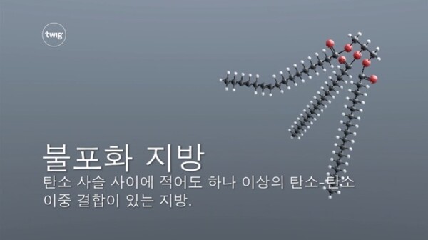 출처 : 'Twig Education' 네이버TV