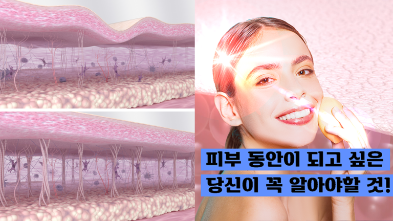 피부노화방지 제대로알고 실천해보자