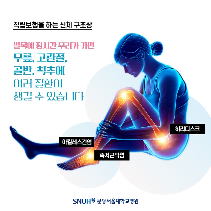 출처 : 분당서울대학교병원