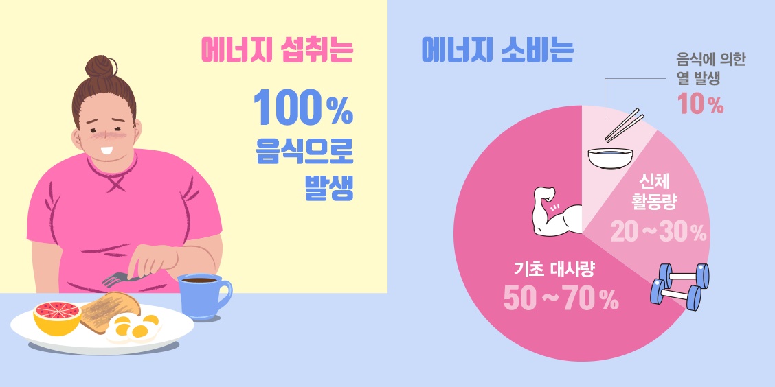 식단 제한, 혈당 조절? 다이어트, ‘대원칙’부터 점검하라
