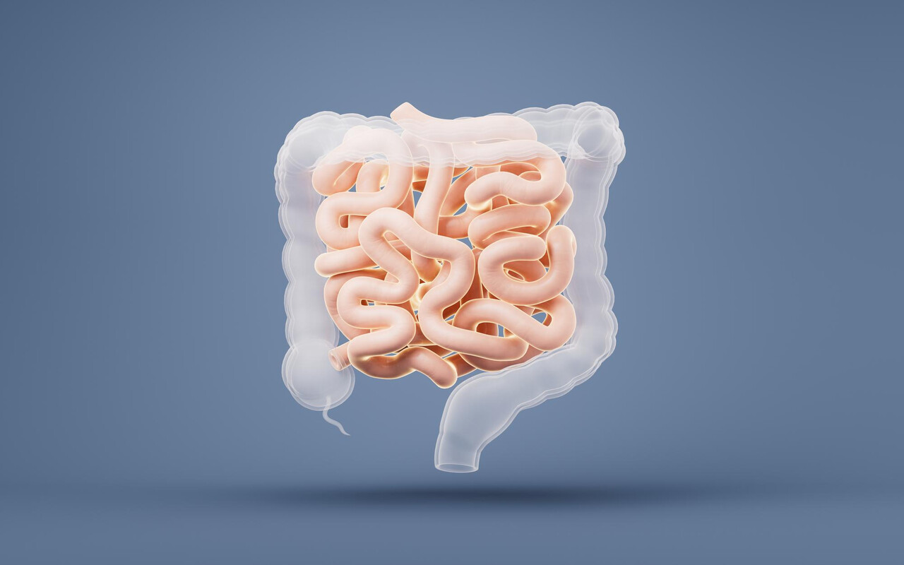 풍부한 섬유질로 장내 환경 개선에 기여한다 / Designed by Freepik (https://www.freepik.com/)