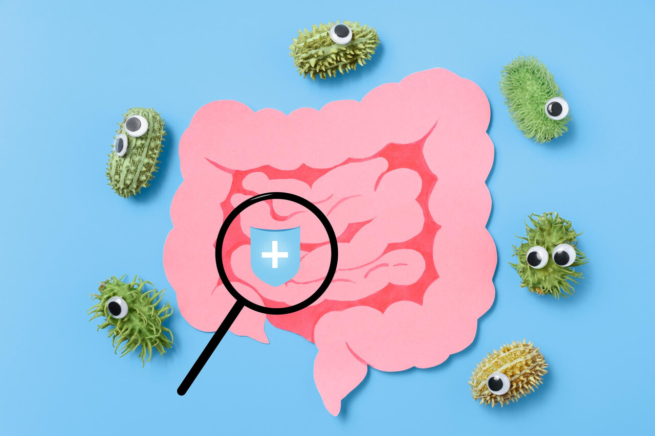 장내 유익균이 좋아하는 프리바이오틱스, 충분히 먹고 있나요?
