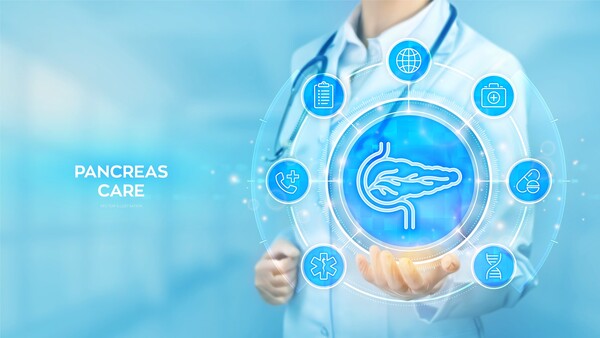 Designed by Freepik (https://www.freepik.com/)