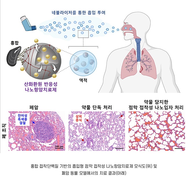 출처 : 포스텍(POSTECH) 홈페이지