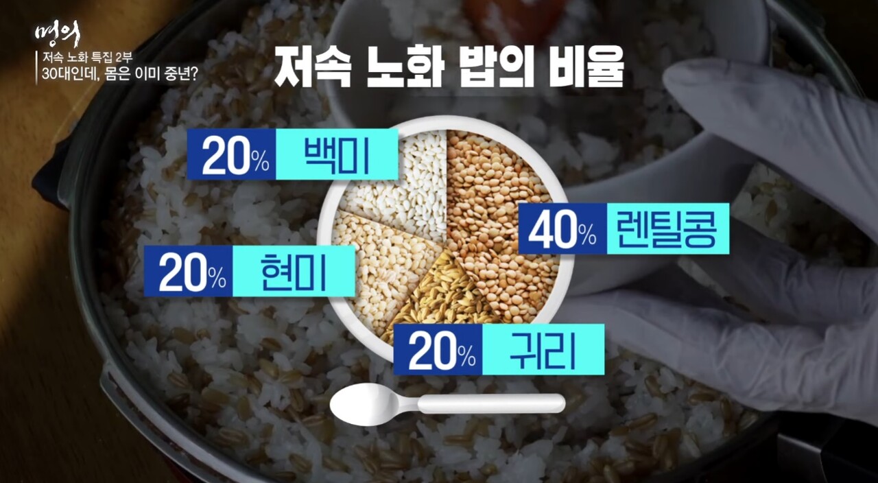 저속노화 밥의 비율 / 출처 : 'EBS 건강' 유튜브 채널