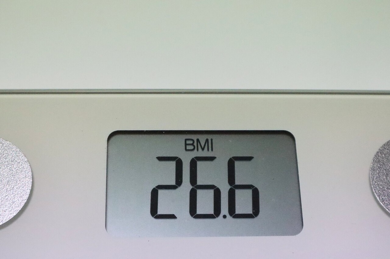체지방 분포를 측정할 수 없다는 BMI의 한계는 근본적으로 해결될 수 없지만, '기초 검사'로서는 여전히 높은 신뢰도를 갖고 있다 / 이미지 출처 : Motion Elements