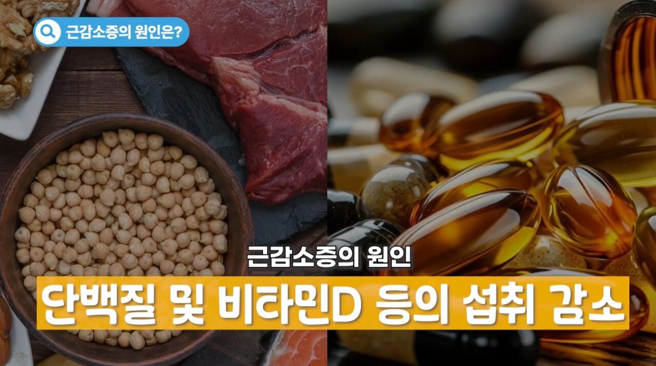 나이가 들면 소화 기능이 떨어지므로 자연스레 소화가 오래 걸리는 단백질 섭취를 꺼리게 될 수도 있다 / 출처 : 경희의료원 유튜브