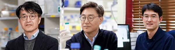 (왼쪽부터) POSTECH 박상기 교수, 김태경 교수, 김민성 교수 / 출처 : BRIC Bio통신원