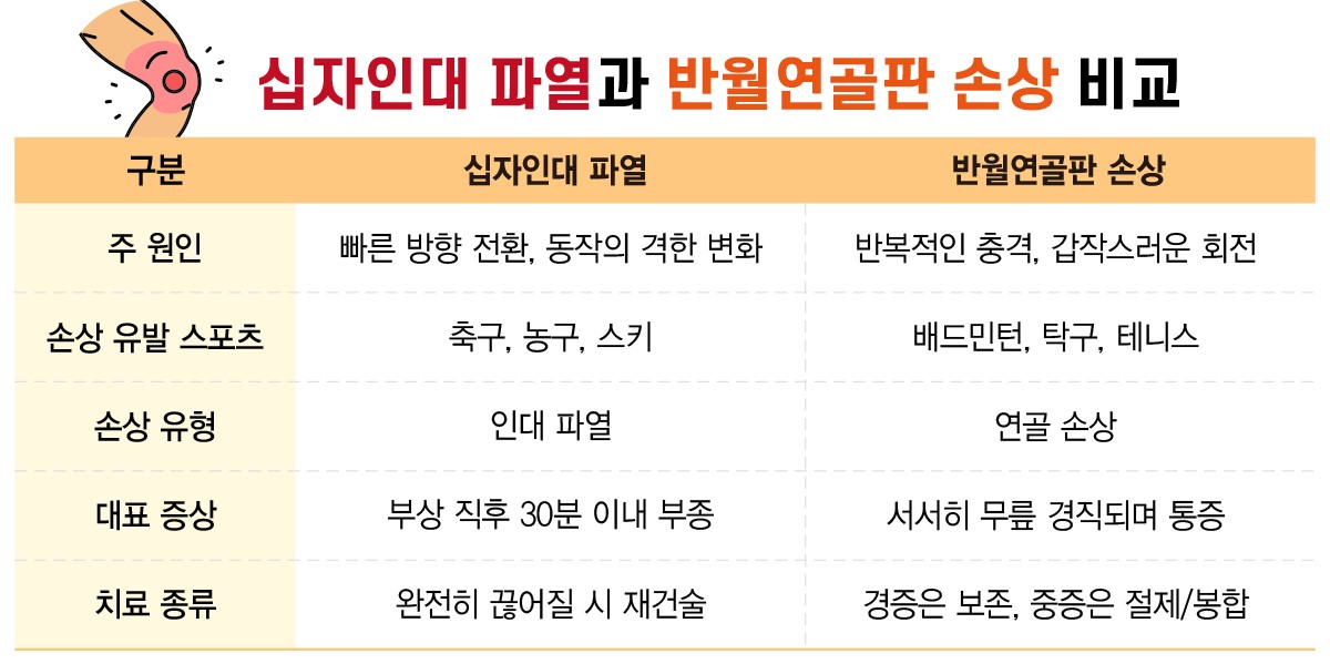 십자인대 파열과 반월연골판 손상 비교 / 제공 : 강동경희대학교병원