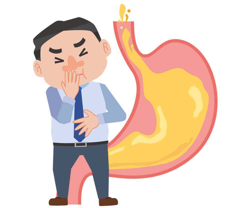 위산이 식도로 넘어오면서 생기는 역류성 식도염도 오래가는 기침의 원인이 된다 / 이미지 출처 : Motion Elements