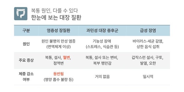 배 아프면 장염으로 넘기면 위험… 혈변·체중 감소 동반 시 염증성 장질환 의심